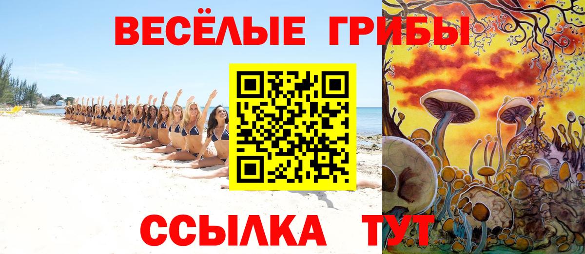Галлюциногенные грибы MAGIC MUSHROOMS  Вход с VPN  Котовск 